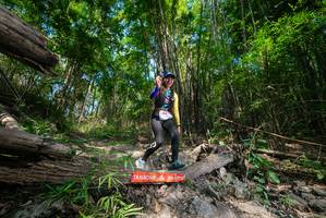 BIB: 
                            <button type="button" onclick="openModal(19388597)" class="btn btn-primary btn-sm float-right btn-popup" data-toggle="modal" data-target=".modal-high-quality">
                        <i class="fas fa-shopping-cart"></i> Add to Cart
                    </button>
                                            <button type="button" onclick="isThisMe(19388597, true)" class="btn btn-success btn-sm float-right btn-popup btn-isme hidden" data-toggle="tooltip" data-placement="bottom" title="นี่คือรูปของคุณใช่ไหม คลิกที่นี่เพื่อเอาเข้าอัลบั้ม">
                        <i class="fas fa-plus"></i> Add to album
                    </button>
                    <button type="button" onclick="isThisMe(19388597, false)" class="btn btn-warning btn-sm float-right btn-popup btn-isnotme hidden">
                        <i class="fas fa-ban"></i> Remove from album
                    </button>